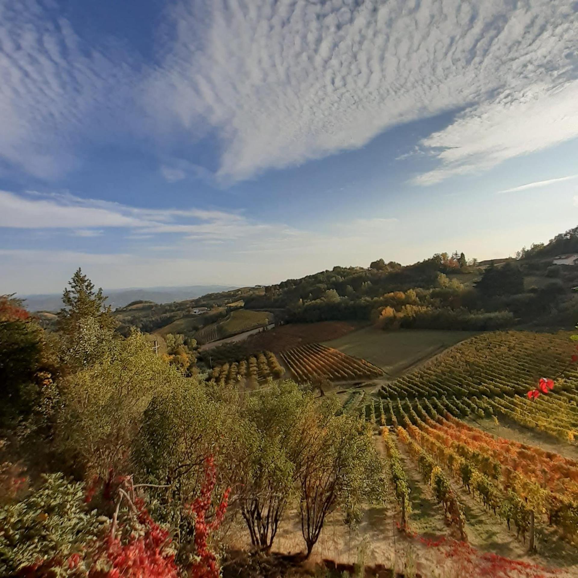 La Giribaldina Winery & Farmhouse Calamandrana Exterior foto